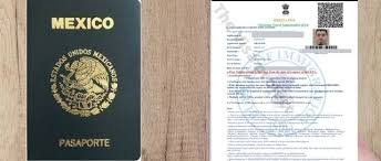 Understanding the Tourist and Business Visa for India